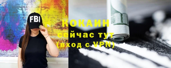 шишки Балахна