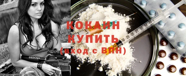 амф Сосновка