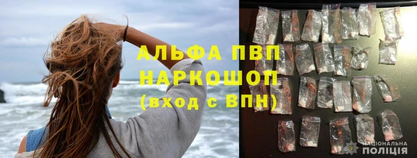 шишки Балахна
