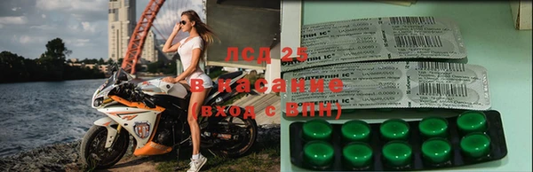 шишки Балахна